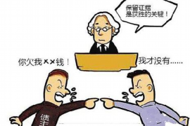 宛城债务清欠服务